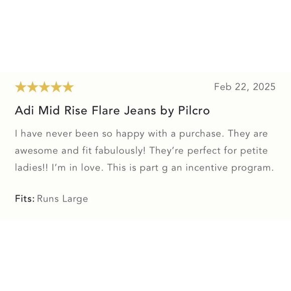 NWT Size 25 - The Adi Mid-Rise Frayed Relaxed Flare Jeans by Pilcro - Picture 8 of 15